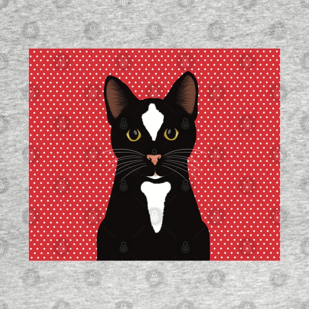 The cute and alert black and  white cat is waiting and watching you , red and white dotted background by marina63